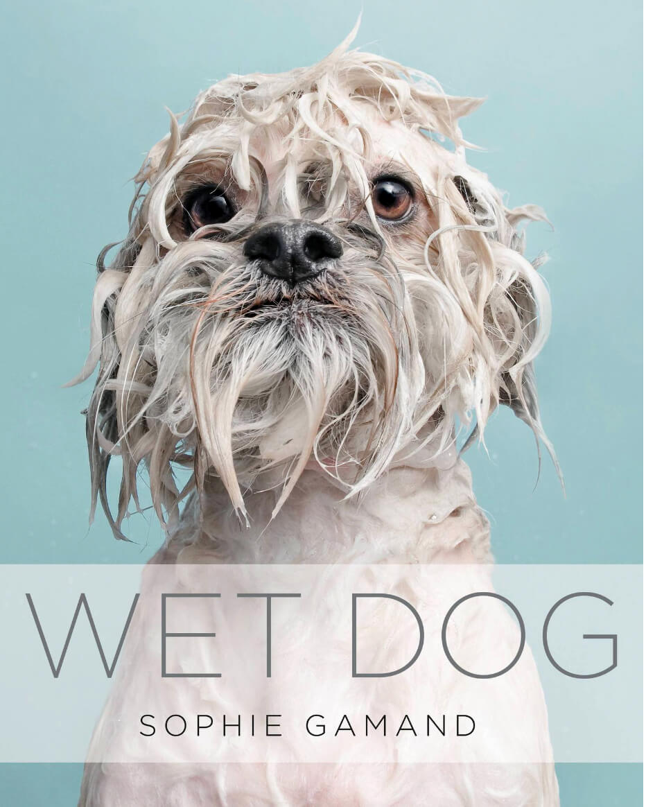 wet.dog Wet Dog