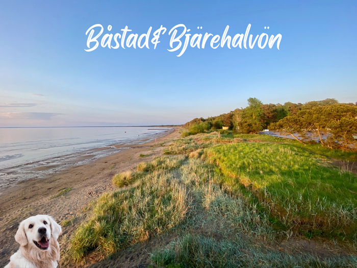 Hundvänliga Båstad & Bjärehalvön