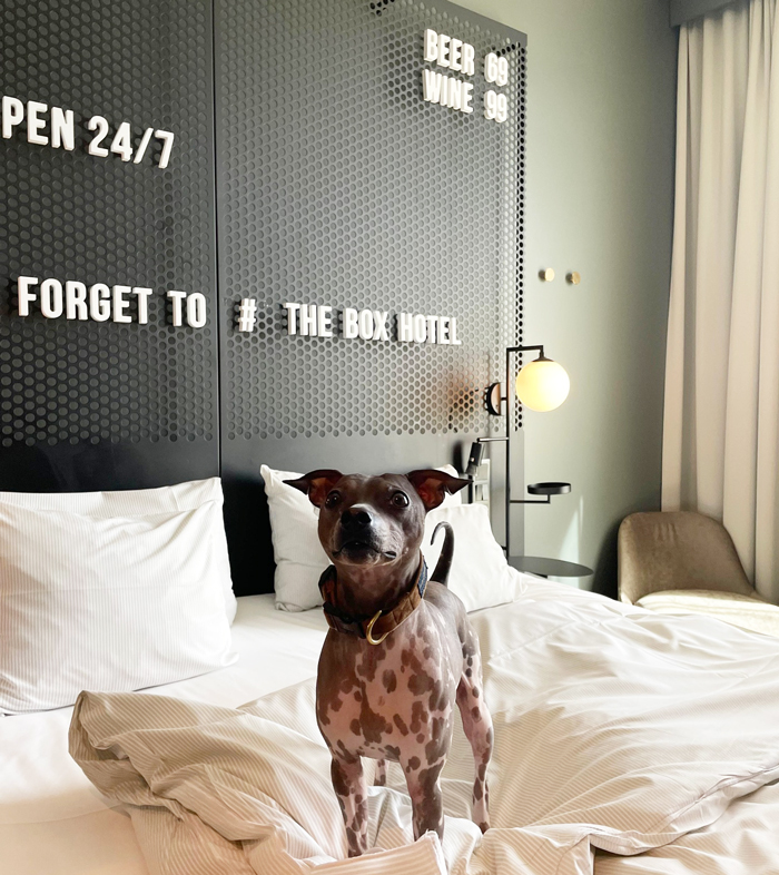 Hotel The Box