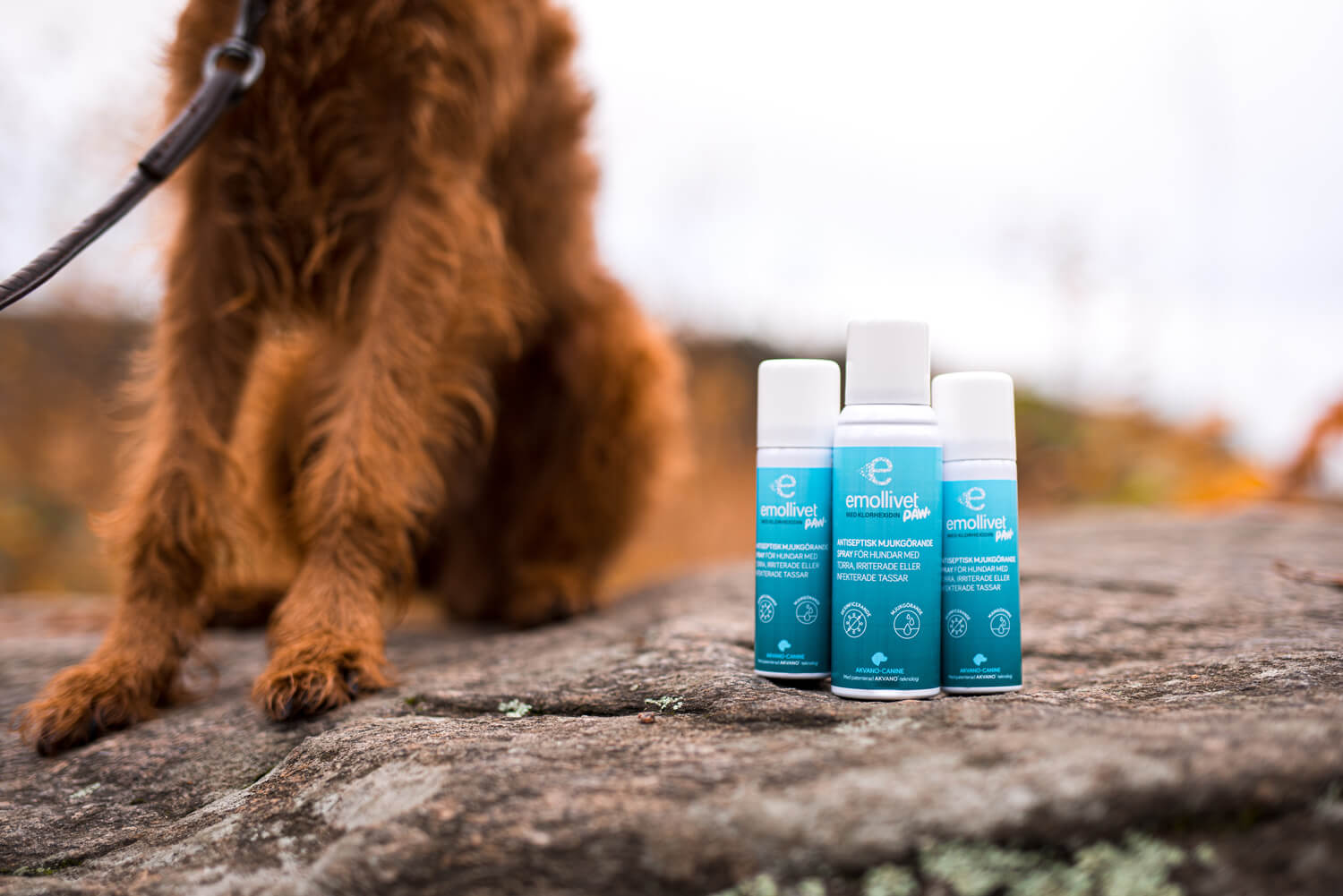 Emollivet PAW+ spray för hundar med torra, irriterade eller infekterade tassar