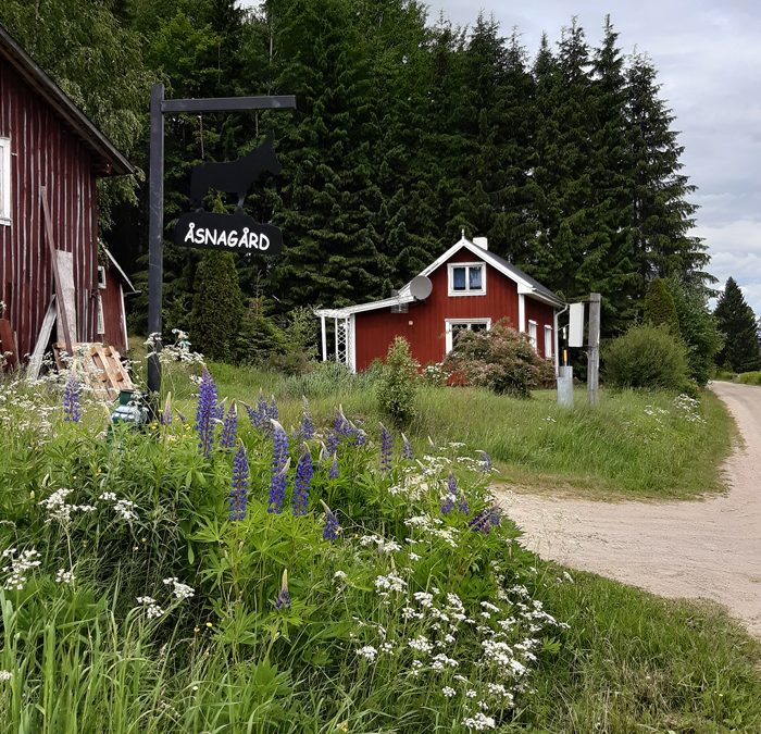 Stuga Åsnagård, Torsby