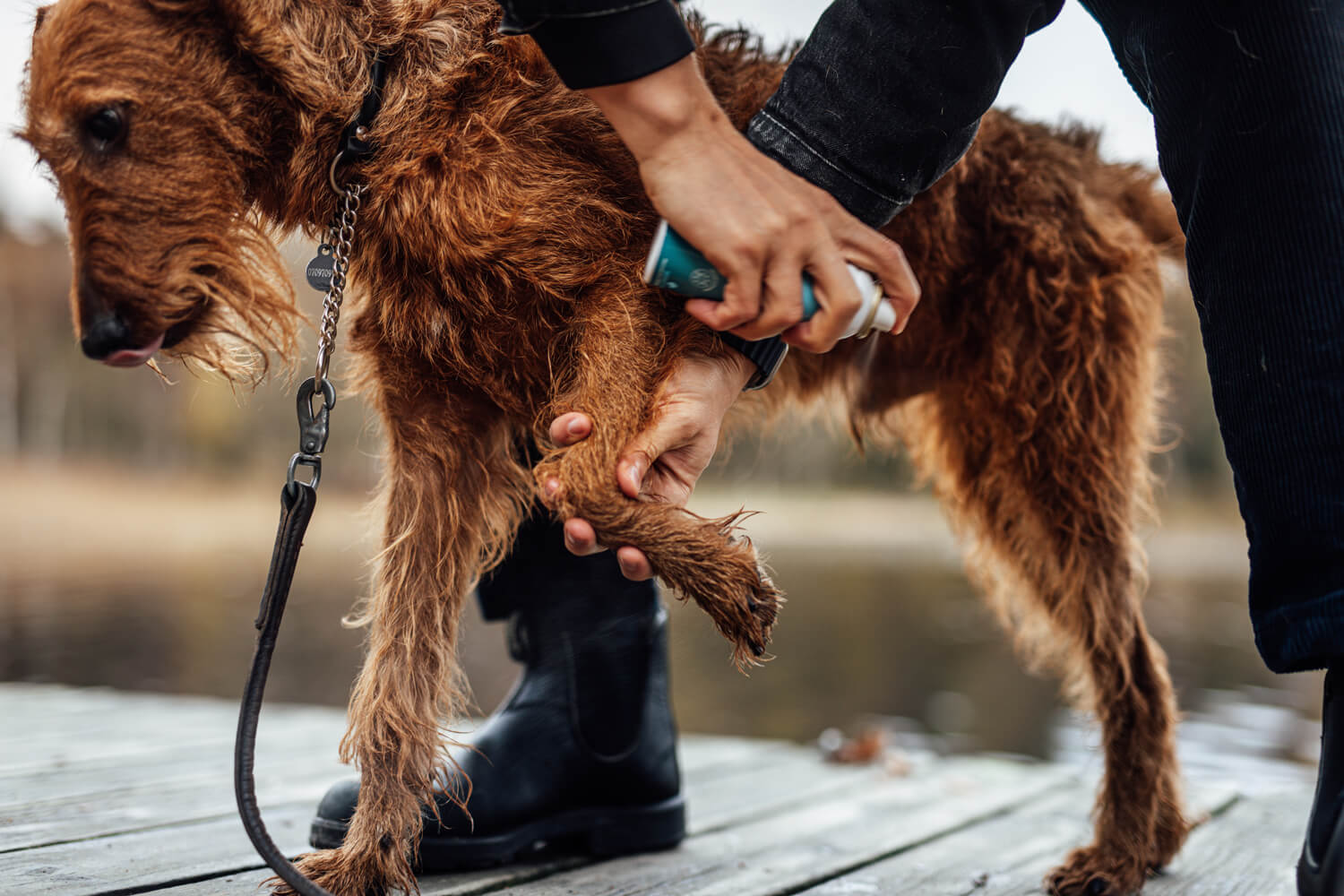 Hundspray