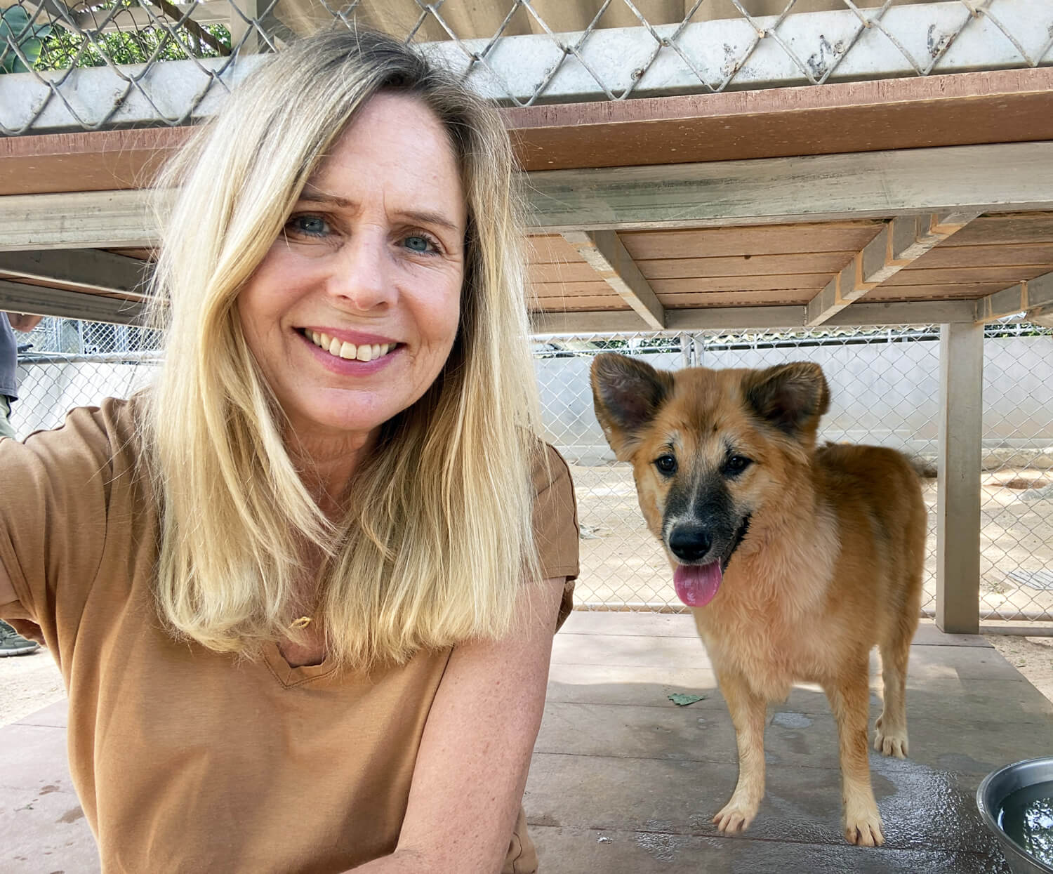 Hundvänliga Hotell besöker Soi Dog på Phuket