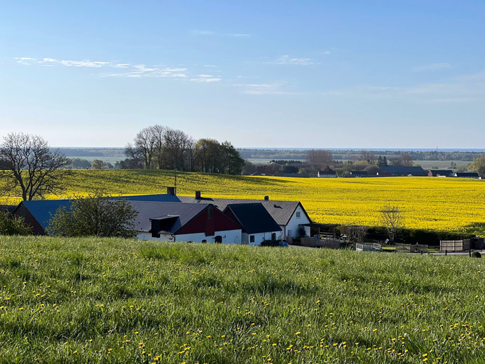 Backadal Gård Bed & Breakfast, Ystad