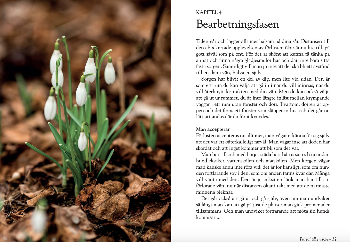 Boken