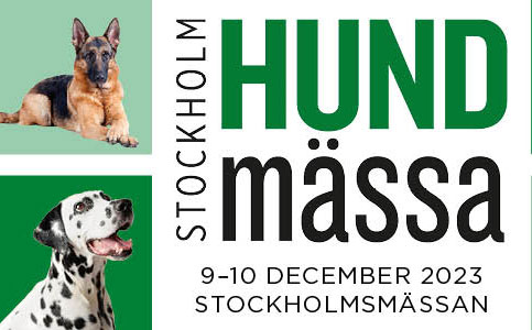 Över 6600 hundar kommer till Stockholm Hundmässa