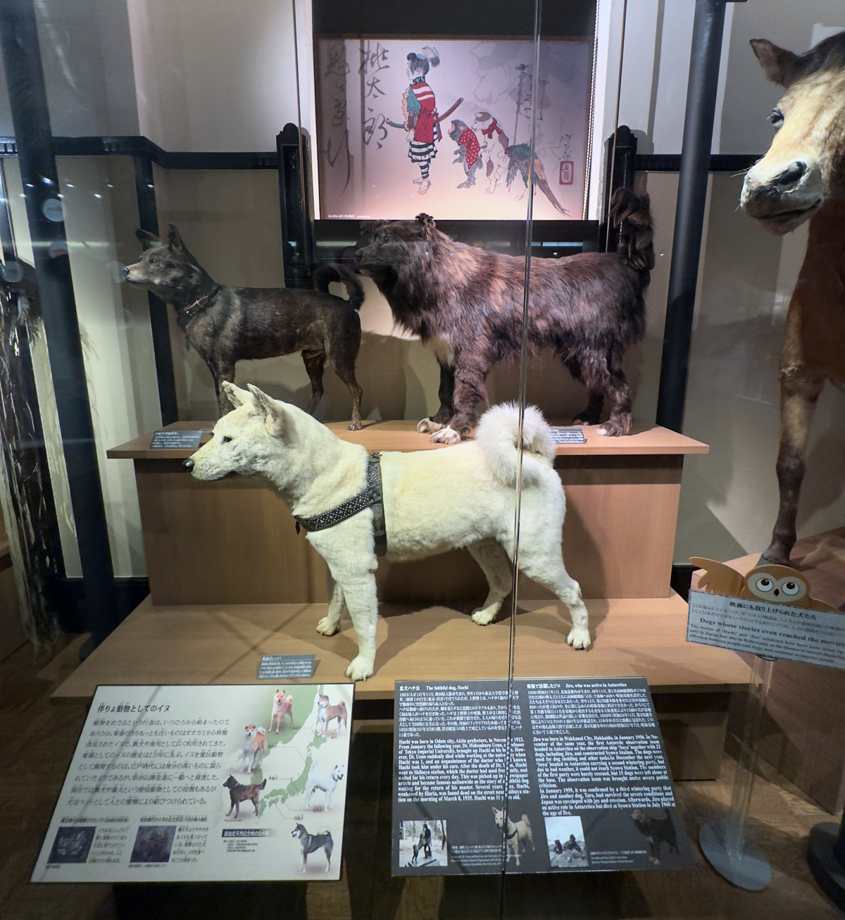 Museum