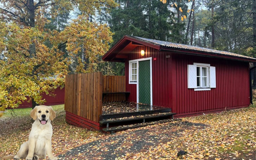 First Camp Kolmården – Norrköping