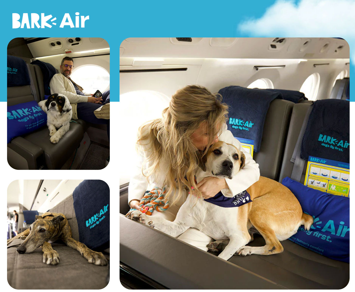 Bark Air