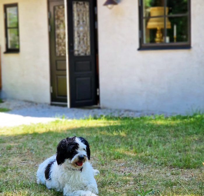 Hotel Stelor, Gotland