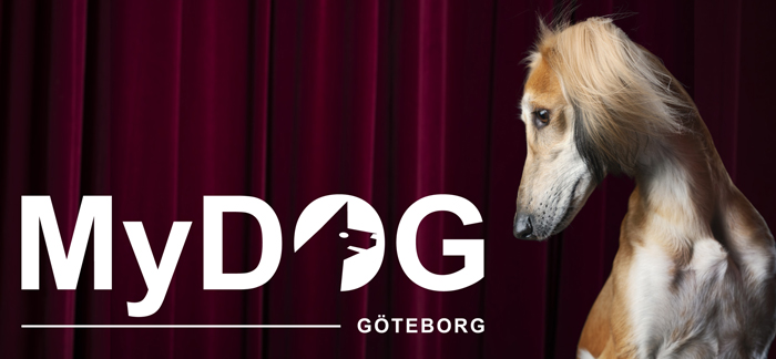 MyDOG Göteborg 2026