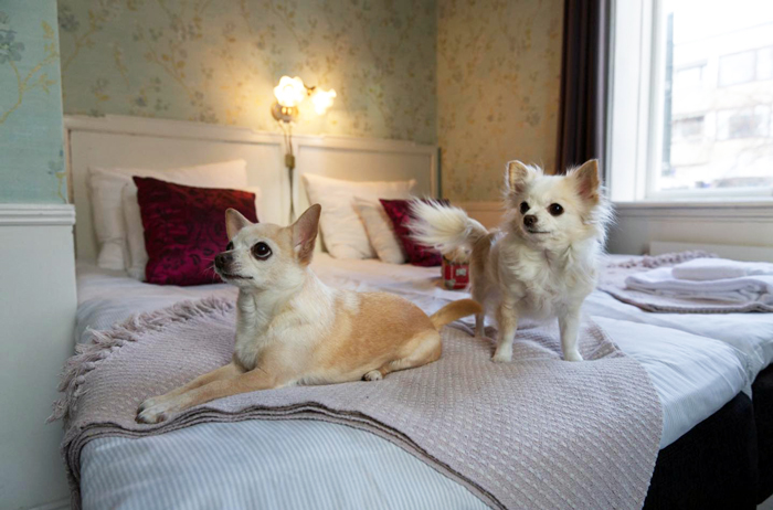 Grand Hotel Lysekil