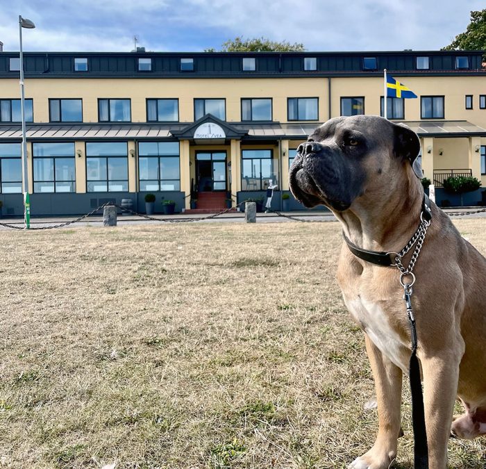 Hotel Svea, Simrishamn