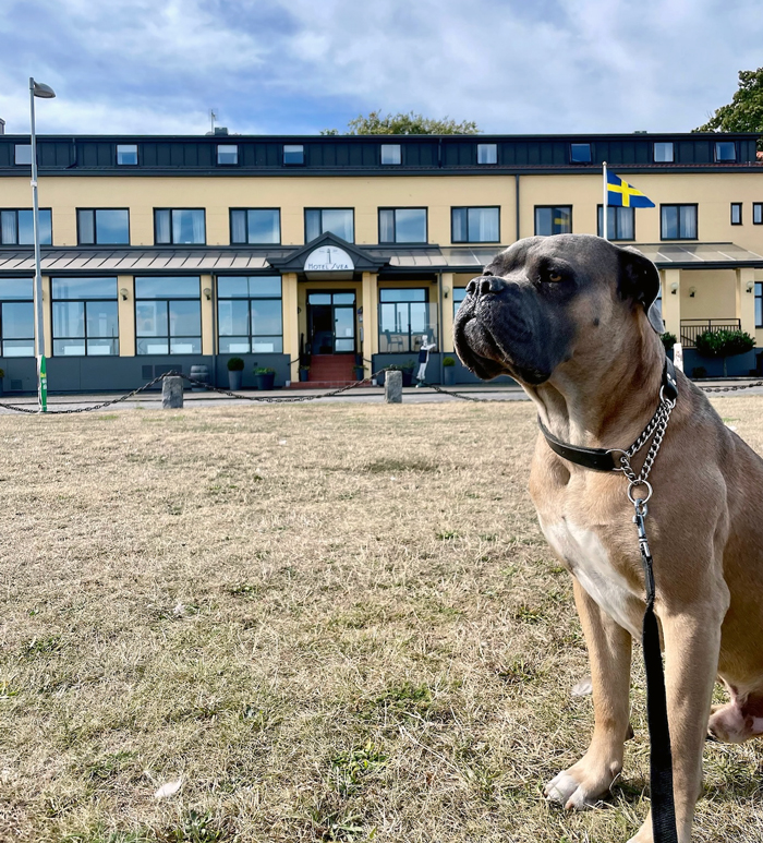 Hotel Svea, Simrishamn