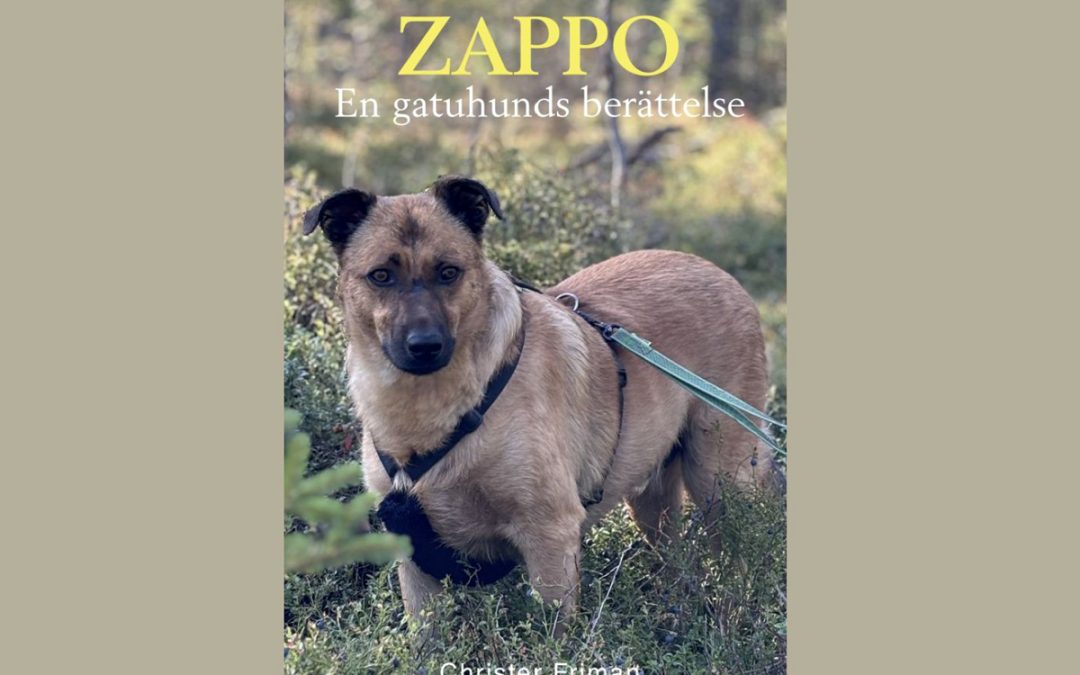 En bok för alla som funderat på att adoptera hund