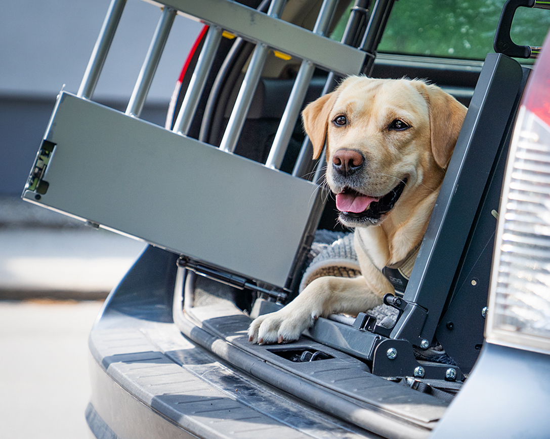 Hunden en självklar följeslagare – även på semestern!