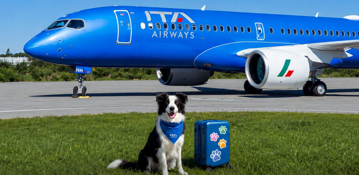 Italienska ITA Airways lanserar tjänsten ”Large Dog On Board” – stora hundar upp till 30 kg kan nu resa i kabinen